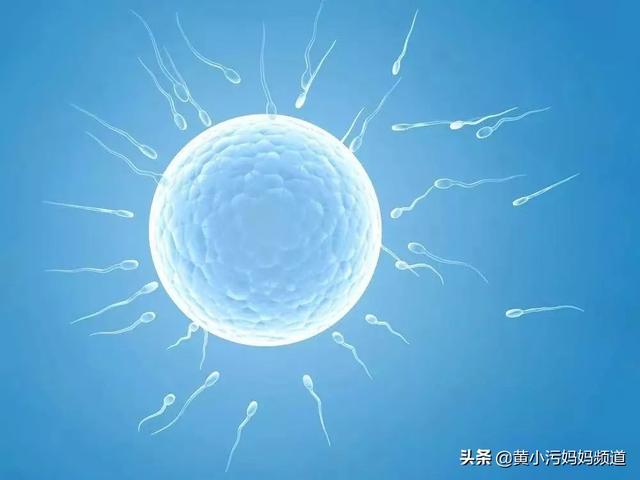 酸碱体质，清宫表......关于生男生女，哪种说法最靠谱？