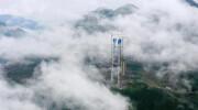 “过气”生辰胡在法国重新流行