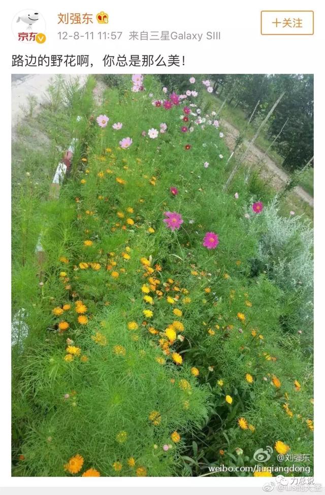 刘强东的八月最后一天