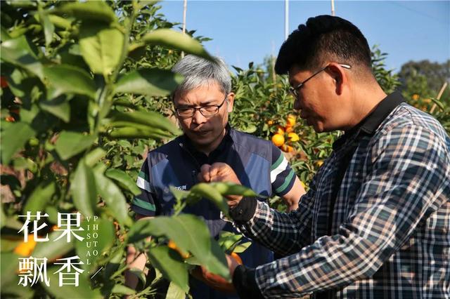 一位打退堂鼓的资深农业人的生辰诀：选好地方，选对品种