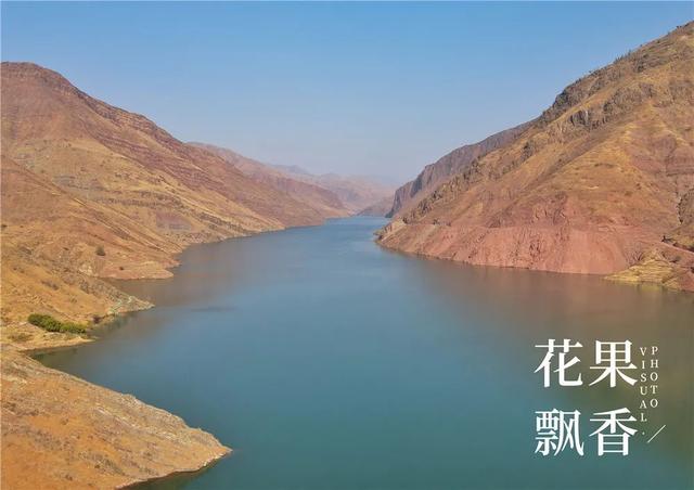 一位打退堂鼓的资深农业人的生辰诀：选好地方，选对品种