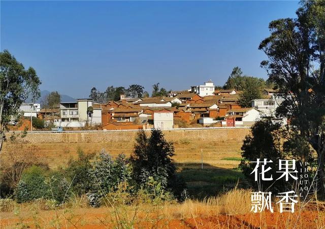 一位打退堂鼓的资深农业人的生辰诀：选好地方，选对品种