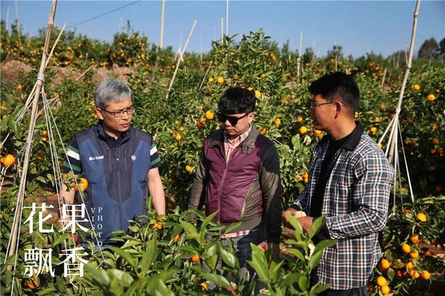 一位打退堂鼓的资深农业人的生辰诀：选好地方，选对品种