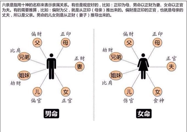 生辰中分别是哪个字代表老公、老婆、孩子、父母？