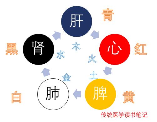 五色与五味藏于五脏，口苦口酸原来是脏器出了问题！内经奥秘