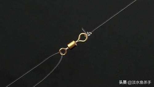 它是台钓线组中的“纽带”，却常被忽视，详解线组配件——生辰环