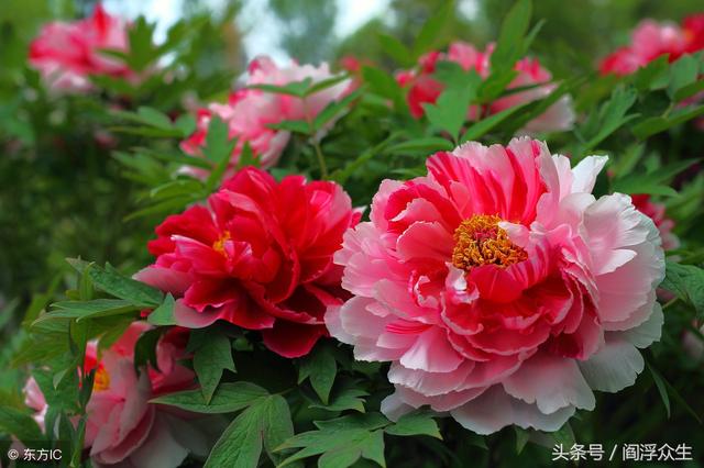 四柱名词解释续