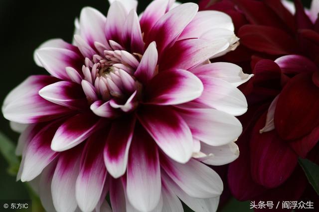 四柱名词解释续
