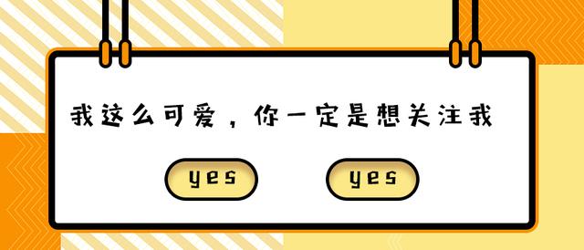 小猫天生生辰眉，认为“晦气”流落街头，如今成功逆袭