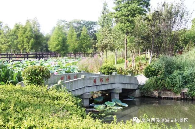 东台西溪小桥多，这些古桥你走过几座？