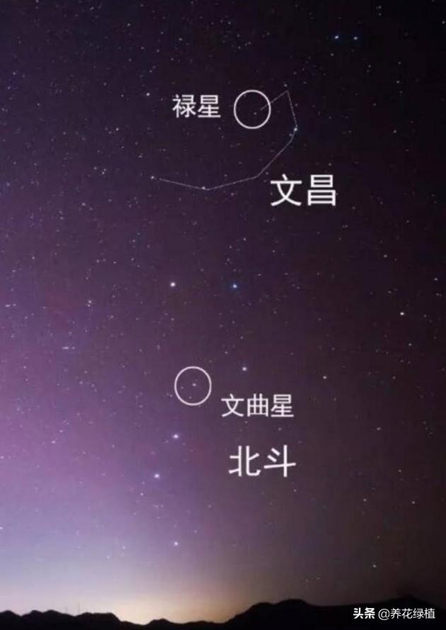 二月初三，文昌帝君圣诞，主管文才学业，怎样知道命中有无文昌星