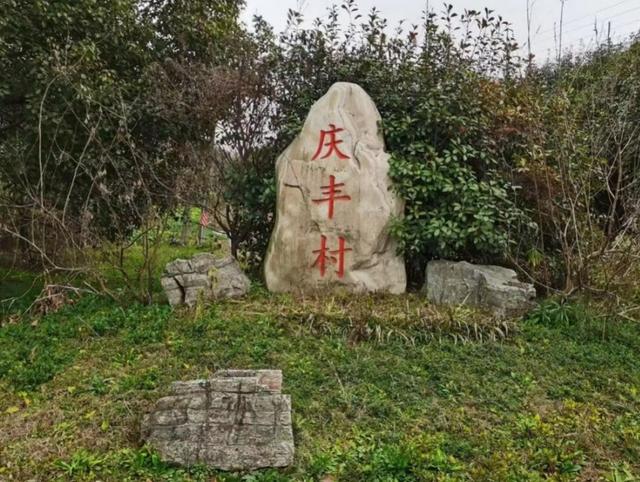 虎年说虎｜上海4个居村名字里含“虎”，一起去探“虎”地