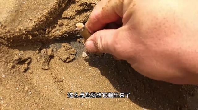 成年人的解压方式：凌晨三点看赶海片，爽到头皮发麻