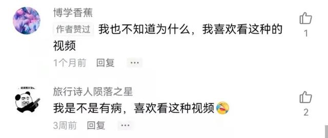 成年人的解压方式：凌晨三点看赶海片，爽到头皮发麻