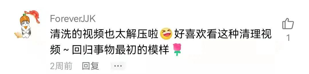 成年人的解压方式：凌晨三点看赶海片，爽到头皮发麻
