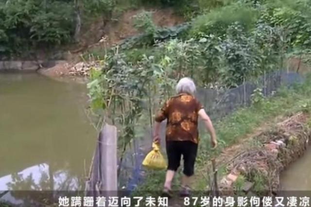 湖南高龄老太太的家庭争端