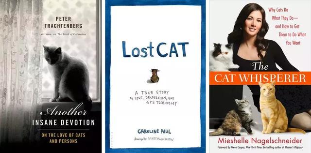 总臭脸的网红猫去世！走红7年，100万张表情包和一部互联网吸猫史