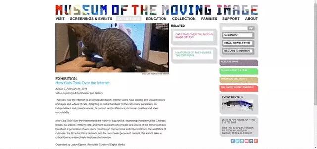 总臭脸的网红猫去世！走红7年，100万张表情包和一部互联网吸猫史