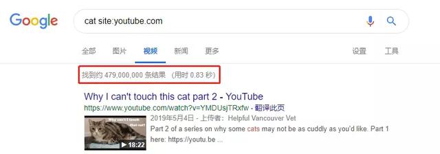 总臭脸的网红猫去世！走红7年，100万张表情包和一部互联网吸猫史
