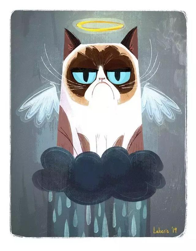 总臭脸的网红猫去世！走红7年，100万张表情包和一部互联网吸猫史
