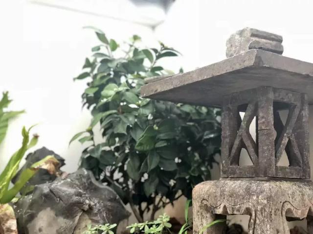 王阳明的“生辰真言”——阳明心学的最高精华