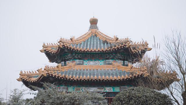 故事:她选秀入宫后位不稳,靠腹中5月皇嗣,扳倒盛宠正浓的贵妃