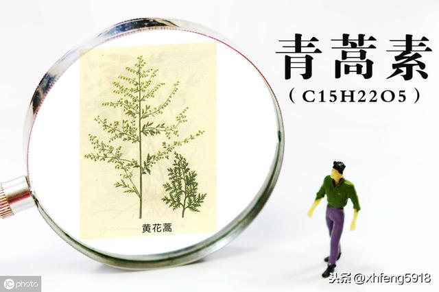 找出你的生辰生辰算@￥，看看自己什么时候能升官发财