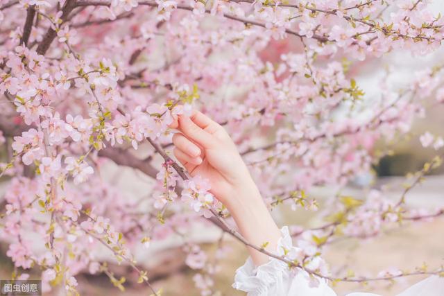 桃花运还是桃花煞？——命局中桃花的分类、判断及破解