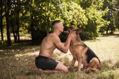 8种方法判断德国牧羊犬是不是纯种