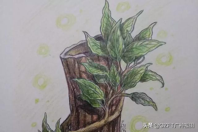 生辰命理 | 你命中缺什么，就会有何种不顺
