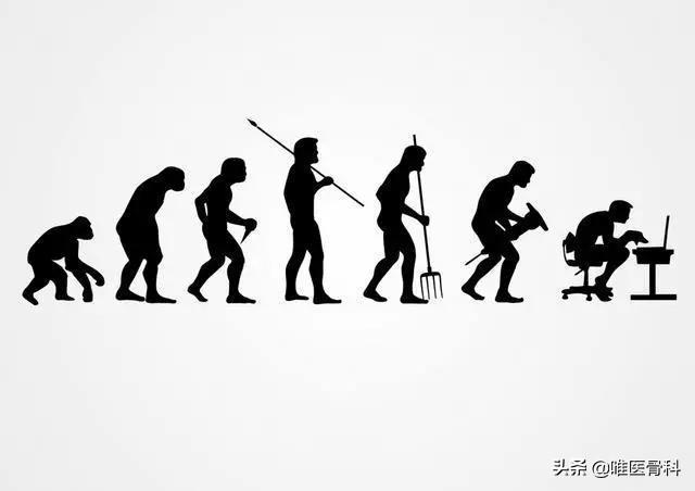O 型腿和 X 型腿是儿童发育的必经生理曲线？后悔没早点知道