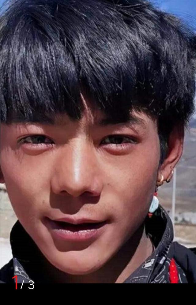 珍珠和青龙，你选哪个？