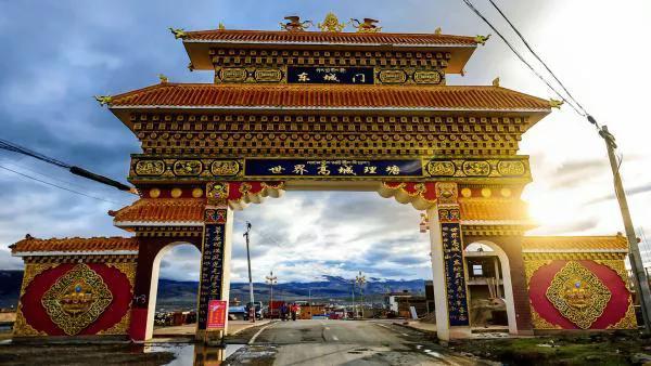 珍珠和青龙，你选哪个？