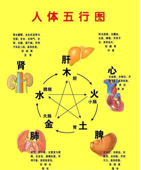 从生辰生辰上看财运