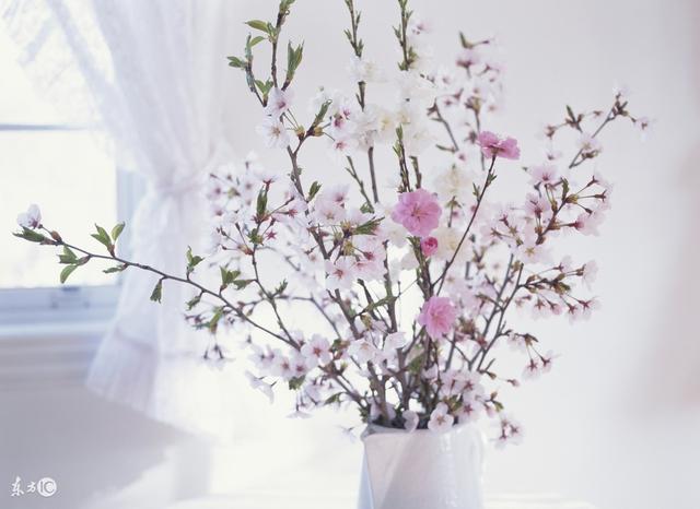 为属猪的朋友写的,十二生肖运程婚配之“猪”!