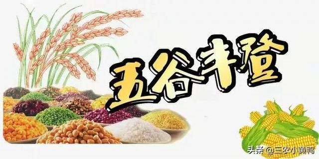 农村俗语“二月逢三卯，农田好收成”啥意思？二月有“三卯”吗？