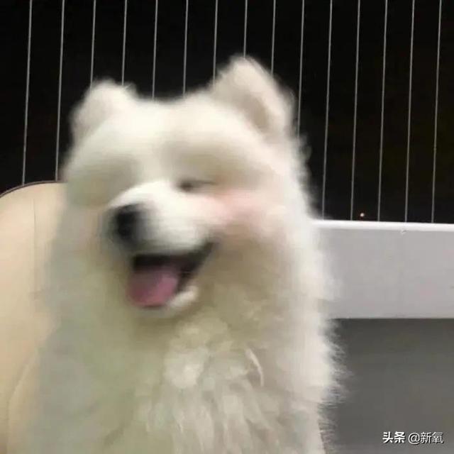 为什么那么多恋爱稳定或者进入婚姻的人都会逐渐变丑？
