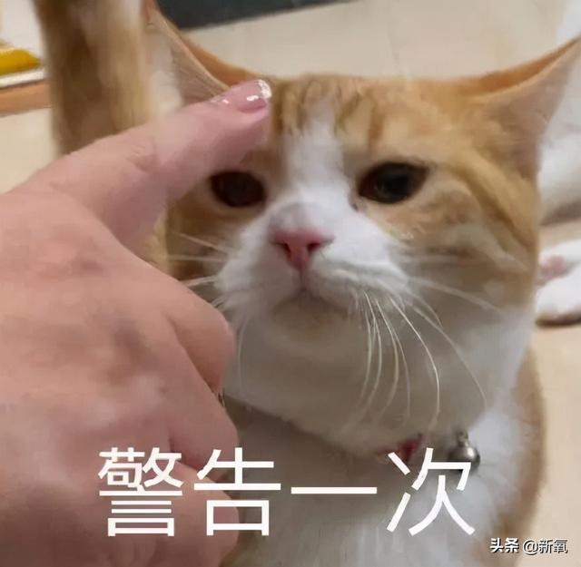 为什么那么多恋爱稳定或者进入婚姻的人都会逐渐变丑？