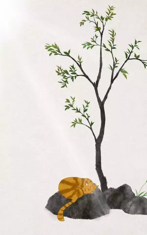 88首你只知一句，却不知全文的经典古诗词！（含译文）