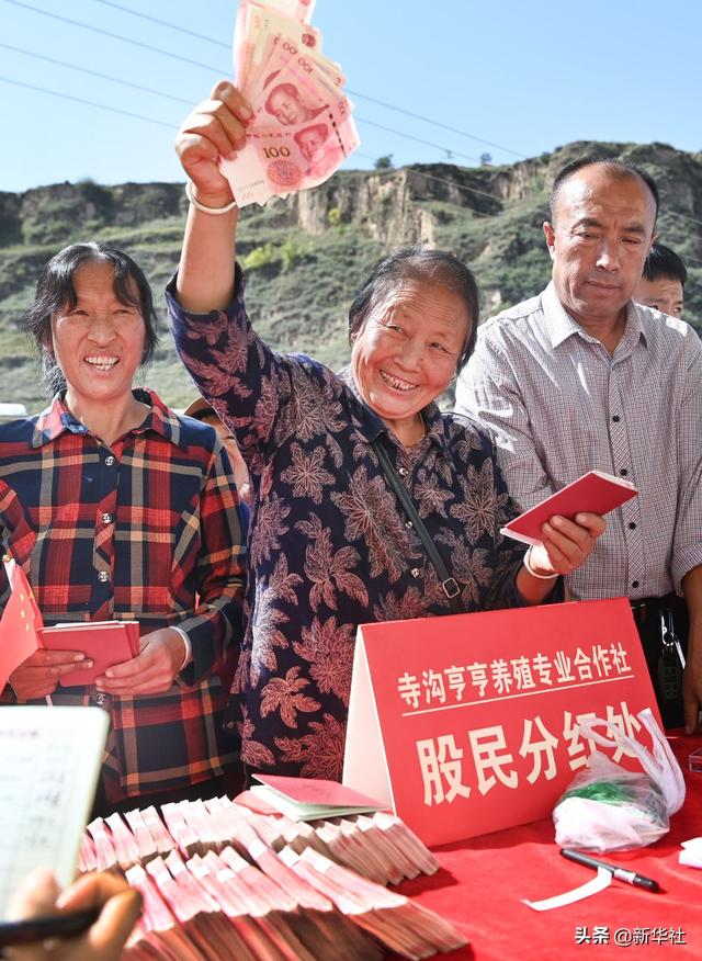 透视乡村振兴新图景