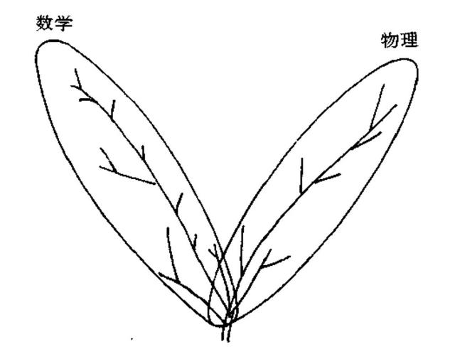 醋醋：杨振宁的最后一战
