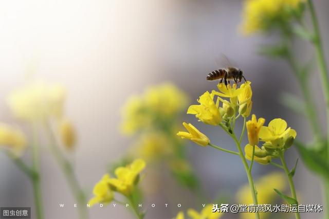 盲派口诀，五行四季喜忌，基础知识