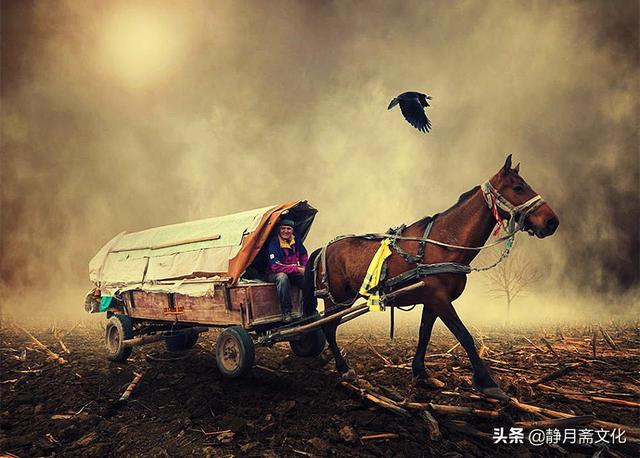 民间故事：书生赶考夜行，怕误时辰强搭马车，却被拉上了黄泉路