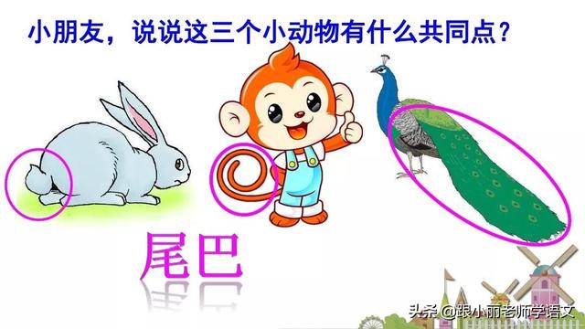 统编版一年级语文上册第6课《比尾巴》知识点+图文解读