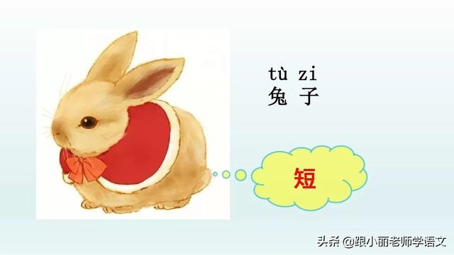 统编版一年级语文上册第6课《比尾巴》知识点+图文解读