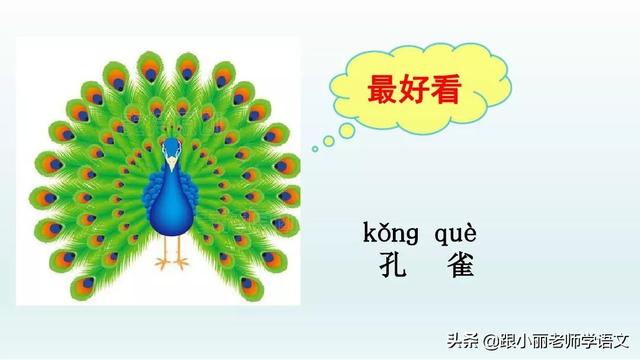 统编版一年级语文上册第6课《比尾巴》知识点+图文解读