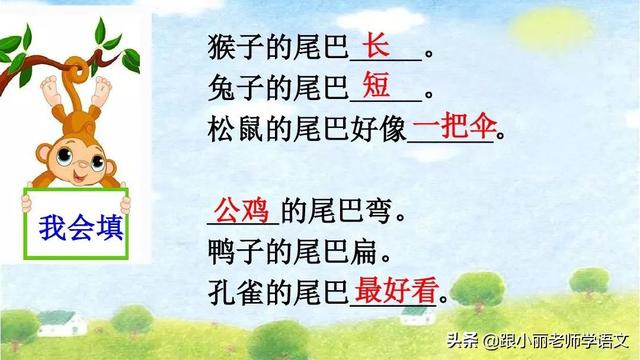 统编版一年级语文上册第6课《比尾巴》知识点+图文解读