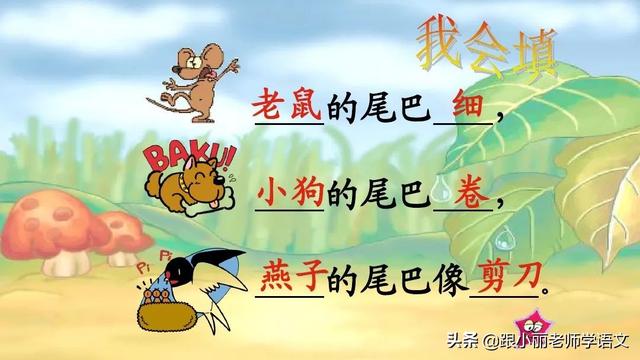 统编版一年级语文上册第6课《比尾巴》知识点+图文解读