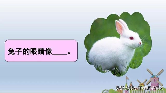 统编版一年级语文上册第6课《比尾巴》知识点+图文解读