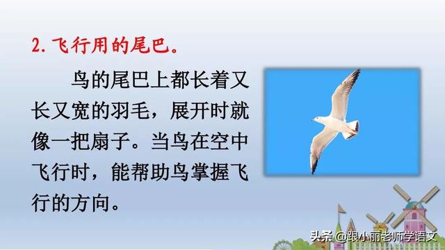 统编版一年级语文上册第6课《比尾巴》知识点+图文解读